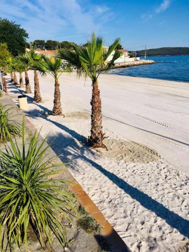 une rangée de palmiers sur une plage de sable dans l'établissement LE STUDIO REMCAM, à Saint-Mitre-les-Remparts