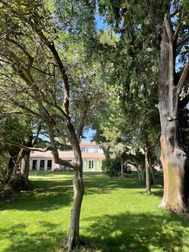 Zahrada ubytování Mas Hinaiti - Suite romantique avec Spa et écran géant de cinéma