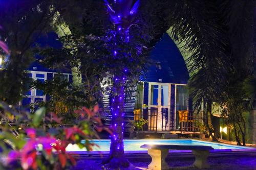 a purple tree in front of a pool at night at Airport Residence Inn in Katunayake