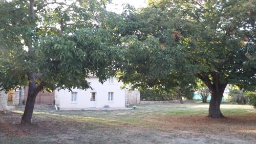 La Chaussée的住宿－La Godelière，前面有两棵树的白色房子