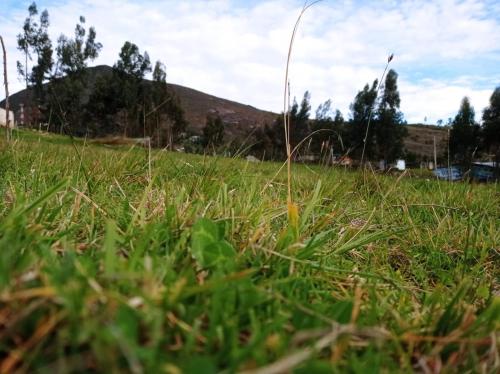 a field of grass with a hill in the background at Camping Las Acacias in Guatavita