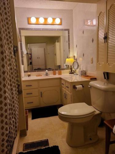 a bathroom with a toilet and a sink and a mirror at Cozy, Cute, Private Ozark Suite 5 Mins to Hospital in Ozark