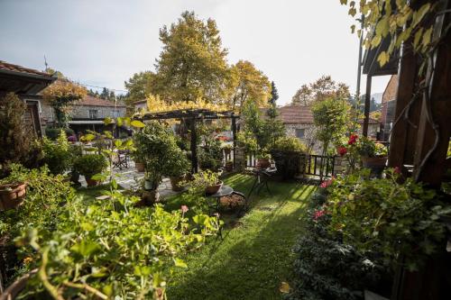 a garden with a lot of plants and flowers at Archontiko Tsiboni in Elati Trikalon