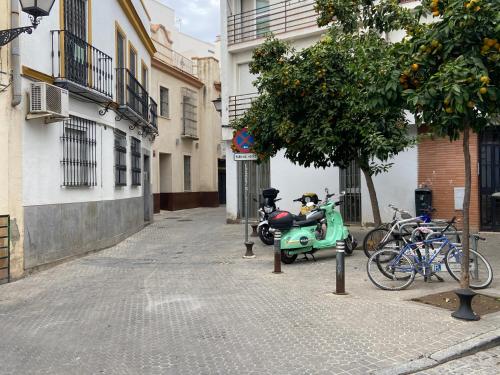 Apartment Wall Center - Aloha Sevilla