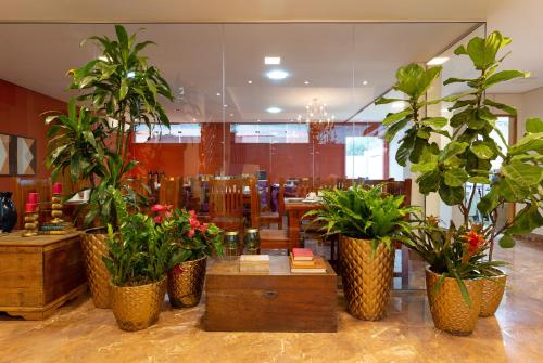 un magasin avec plusieurs plantes en pot dans une pièce dans l'établissement VILLA NOMAD HOTEL, à Uberaba