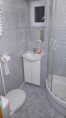 een badkamer met een toilet, een wastafel en een douche bij Agroturystyka OdważnyTeam in Stronie Śląskie