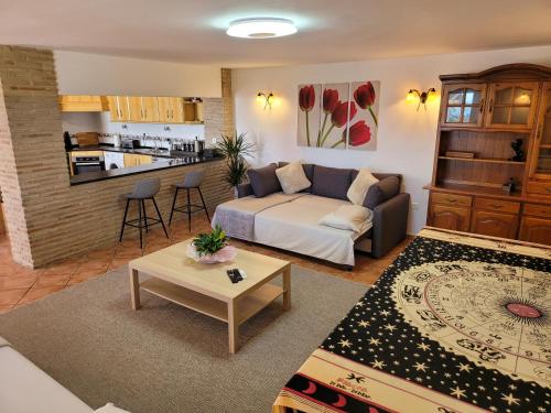 luxury apartments sea views with pool