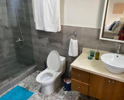 a bathroom with a toilet and a sink and a shower at Cadaques Caribe Bayahibe in Bayahibe