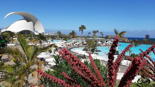 Blick auf den Pool im Resort mit Blumen in der Unterkunft Perfectly located apartment with pool in Playa de las Americas