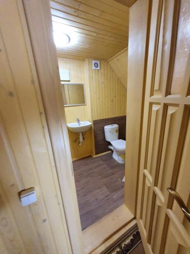 a bathroom with a toilet and a sink at Stanica Karpacka 4x4 in Mohnate