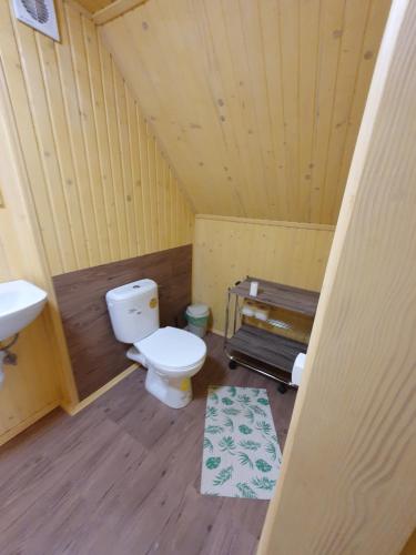 a bathroom with a toilet and a sink at Stanica Karpacka 4x4 in Mohnate