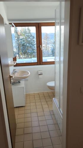 uma casa de banho com um lavatório, um WC e uma janela. em Appartement Winterberg, Kapperundweg 4, Appartement 34 em Winterberg