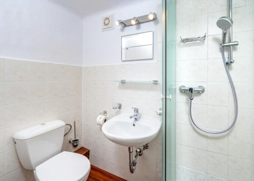 a bathroom with a toilet and a sink and a shower at U Komárků in Špindlerův Mlýn