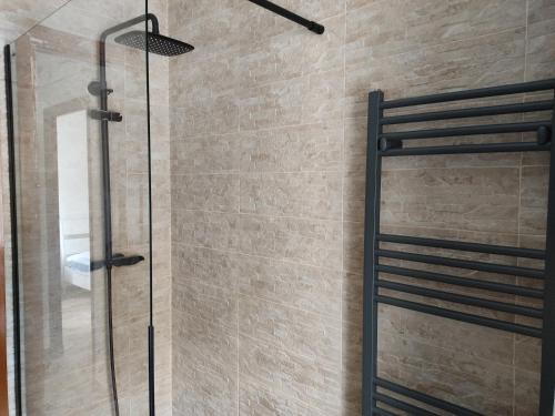 um chuveiro com uma porta de vidro na casa de banho em Mi Piso en Béjar em Béjar