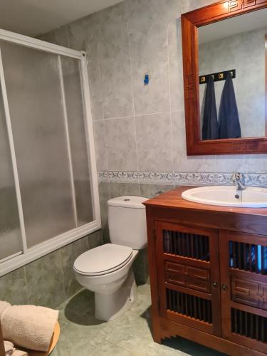 a bathroom with a toilet and a sink and a mirror at tuhogarencerler,sol y vistas in Cerler