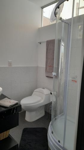 a white bathroom with a toilet and a shower at Casablanca 2 in Tacna