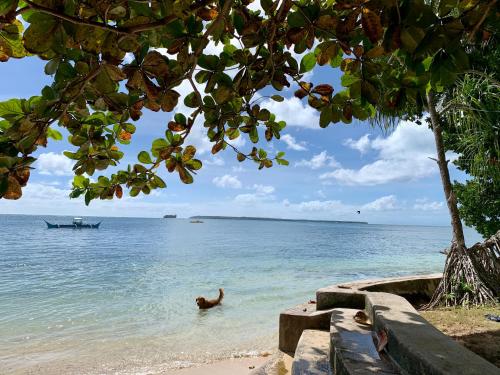 a person swimming in the water on a beach at Pore's Homestay in General Luna