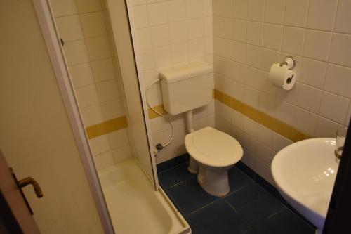 a small bathroom with a toilet and a sink at Hotel Černý Orel Žatec in Žatec