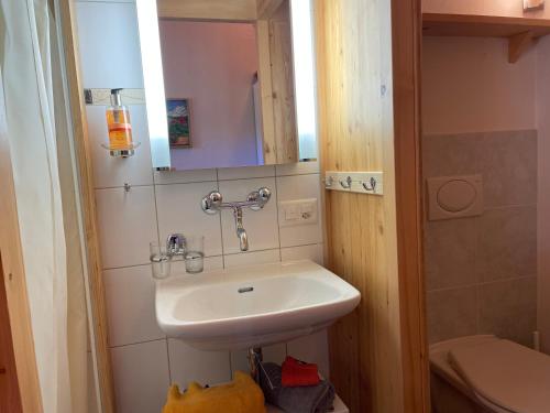 Bathroom sa Alpenchalet Weidhaus Gstaad Ferienwohnung im Dachstock, Studio und Zimmer im EG