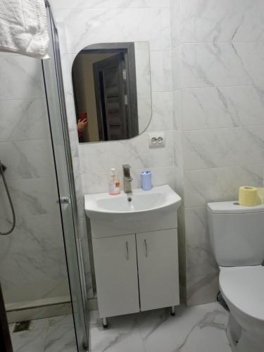 a bathroom with a sink and a toilet and a mirror at Hotel Osher in Bukovel