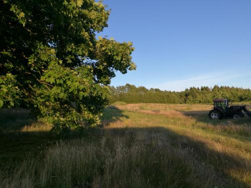 a tractor is parked in a field of grass at Hærvejsly - Perfekt familiebase til oplevelse af Sydjylland in Give