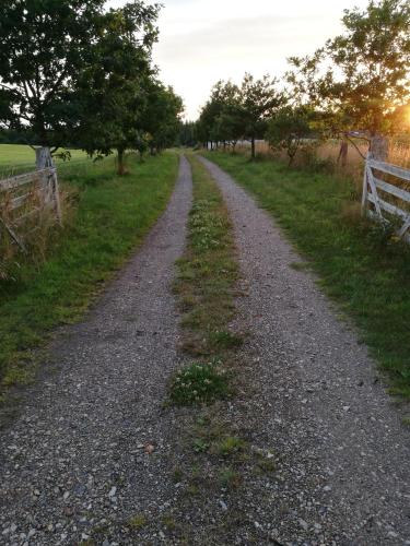 a gravel road in a field with trees and a fence at Hærvejsly - Perfekt familiebase til oplevelse af Sydjylland in Give