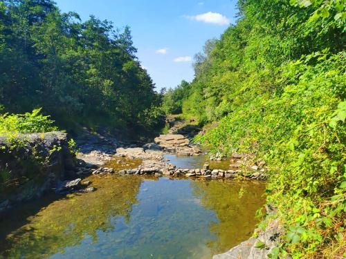 a river with rocks in the water and trees at Aloha Glamp - okrągłe domki przy rzece - balia i sauna - Energylandia in Zagórnik