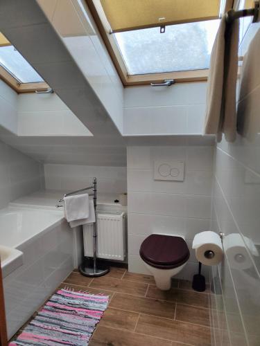 a bathroom with a toilet and a skylight at Penzión Encián in Tatranská Lomnica