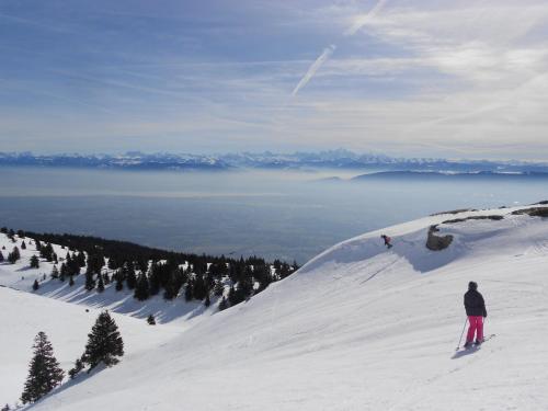 a person riding skis on top of a snow covered slope at Aparthotel Adagio Geneve Saint Genis Pouilly in Thoiry