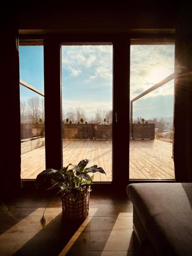 a room with a window with a potted plant at Osada Źródlana in Kowary