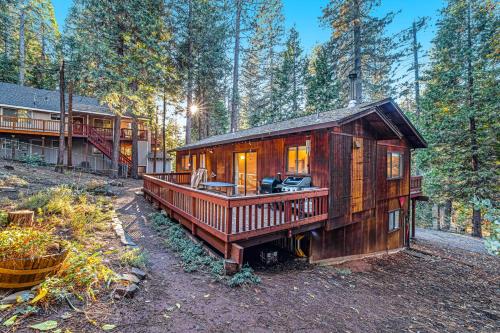 Cabin In The Woods – Photos 2