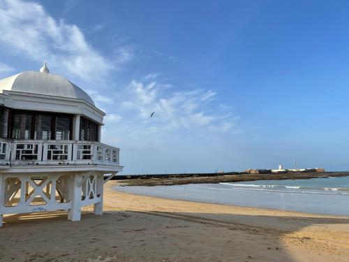 a building on the beach next to the ocean at San Lorenzo Apartamentos y Suites in Cádiz