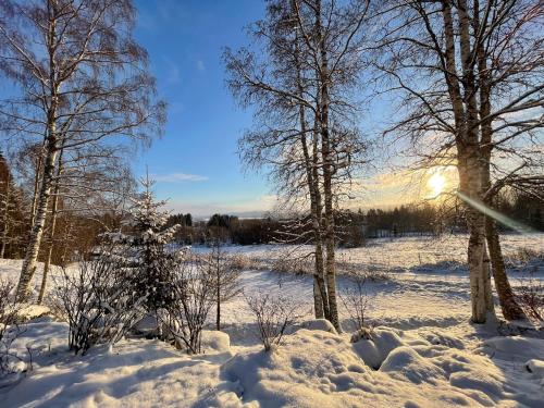 a snow covered field with trees and the sun in the background at Bialett in Järvsö