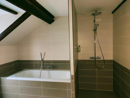 ein Badezimmer mit Badewanne und Dusche in der Unterkunft La Chaumière in Aubigny-sur-Nère