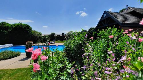 a garden with pink flowers next to a swimming pool at Bed & Breakfast De Stippelberg in Rips