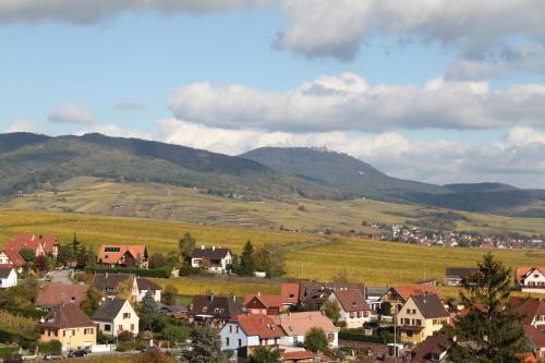 un village avec des maisons et des montagnes en arrière-plan dans l'établissement Hôtel Restaurant Le Schlossberg, à Zellenberg