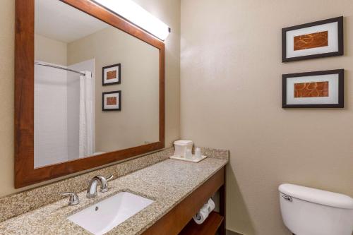 a bathroom with a sink and a mirror and a toilet at Comfort Suites Fort Collins Near University in Fort Collins