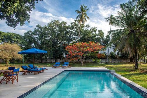 a swimming pool with chairs and umbrellas in a yard at Tamarind Tree Zanzibar in Mazizini