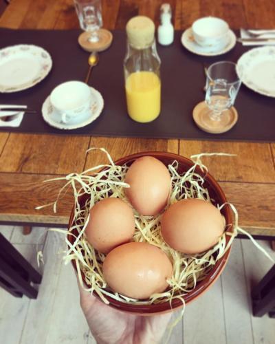 a person holding a bowl of eggs in a table at Domus Portus in Dendermonde