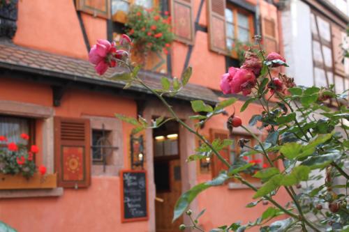 Photo de la galerie de l'établissement Hôtel Restaurant Le Schlossberg, à Zellenberg