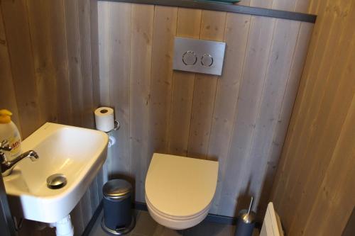 a bathroom with a white toilet and a sink at Skarvhytta - moderne hytte med flott beliggenhet in Hol