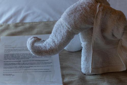 a white teddy bear sitting on top of a piece of paper at Tshikwalo Game Lodge in Klipdrift