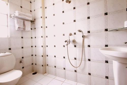 a bathroom with a shower and a toilet and a sink at Hotel Pichola Haveli in Udaipur