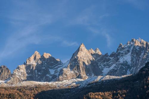 Portes du Brevent -1 bedroom apartment with magnificient Mont Blanc views