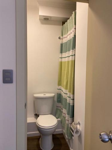 a bathroom with a toilet and a shower curtain at Studio Victoria 400 in Concepción