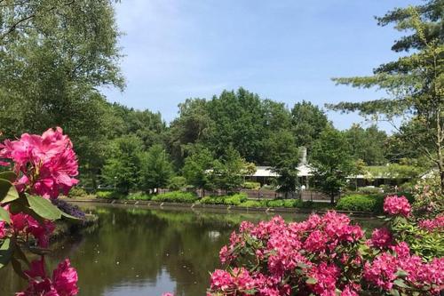 a view of a river with pink flowers at Chalet Heggemus Oisterwijk in Oisterwijk