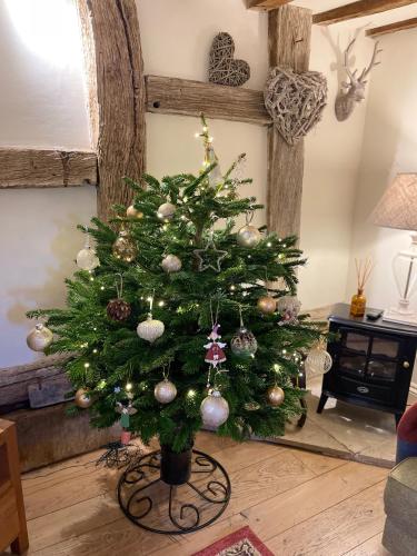 a christmas tree in a living room at Popfosters Barn in Weston Subedge
