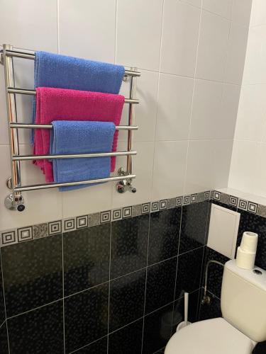 a bathroom with a towel rack next to a toilet at 020 Новые апартаменты ЖК «Софиевская Слободка» in Vyshneve