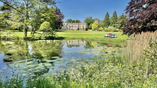 a pond in a park with a house in the background at Griffin Inn Irnham in Irnham