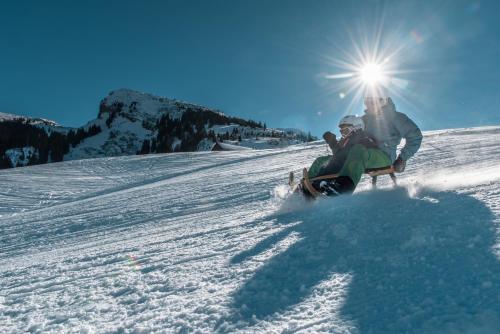 Hotel Säntis Lodge en invierno